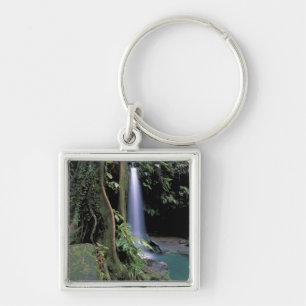 Dominica, Emerald Pool, Waterfall. Keychain