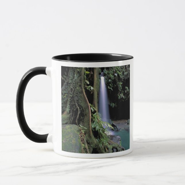 Dominica, Emerald Pool, Waterfall. Mug (Left)