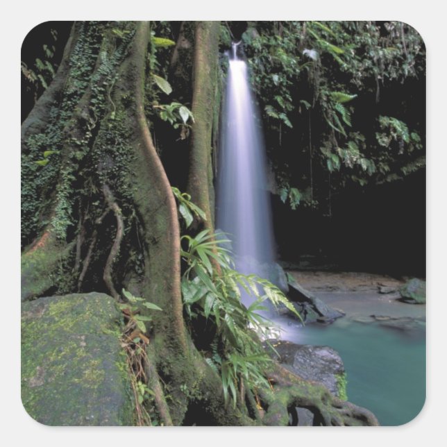 Dominica, Emerald Pool, Waterfall. Square Sticker (Front)