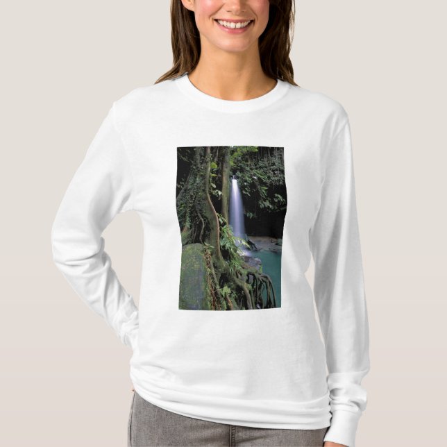 Dominica, Emerald Pool, Waterfall. T-Shirt (Front)