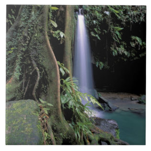 Dominica, Emerald Pool, Waterfall. Tile