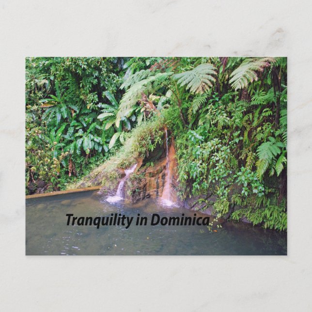 Dominica Postcard (Front)