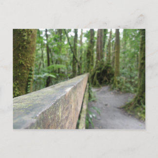 DOMINICA RAIN FOREST VIEW POSTCARD