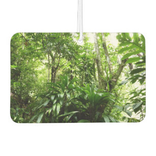 Dominican Rain Forest I Tropical Green Nature Car Air Freshener