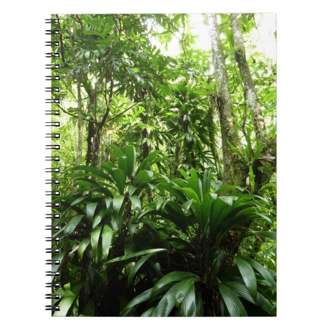 Dominican Rain Forest I Tropical Green Nature Notebook (Front)