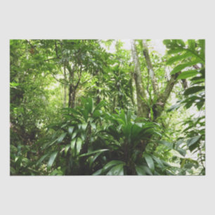 Dominican Rain Forest I Tropical Green Nature Tissue Paper