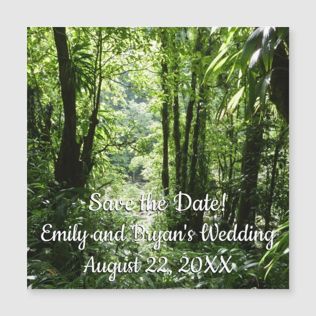 Dominican Rain Forest II Tropical Green (Front)