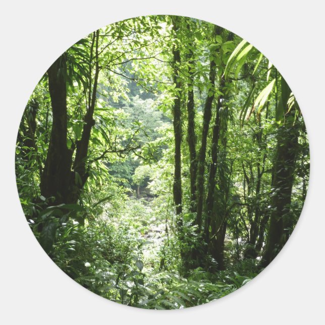 Dominican Rain Forest II Tropical Green Classic Round Sticker (Front)
