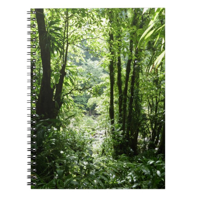 Dominican Rain Forest II Tropical Green Notebook (Front)