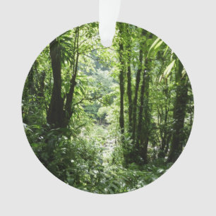 Dominican Rain Forest II Tropical Green Ornament