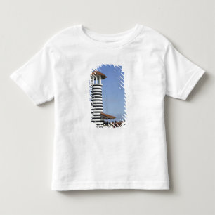 Dominican Republic, Bayahibe, Iberostar Hacienda 2 Toddler T-shirt