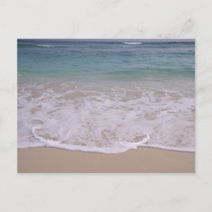 Dominican Republic, Caribbean, Punta Cana, 8 Postcard