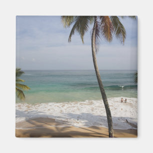Dominican Republic, North Coast, Abreu, Playa 4 Magnet