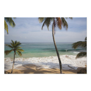 Dominican Republic, North Coast, Abreu, Playa 4 Photo Print