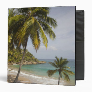 Dominican Republic, North Coast, Abreu, Playa Binder