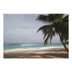 Dominican Republic, North Coast, Abreu, Playa Photo Print