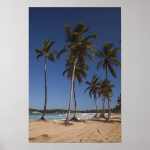 Dominican Republic, Punta Cana Region, El Poster