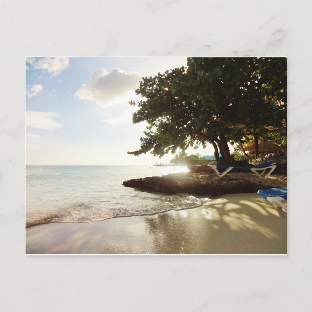 Dominican Republic Punta Canta Beach Postcard (Front)