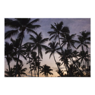 Dominican Republic, Samana Peninsula, Las 2 Photo Print