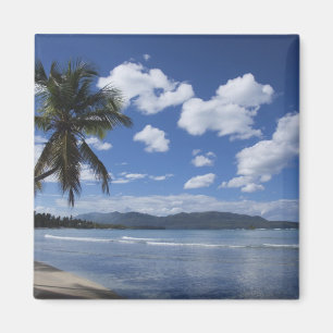 Dominican Republic, Samana Peninsula, Las 4 Magnet