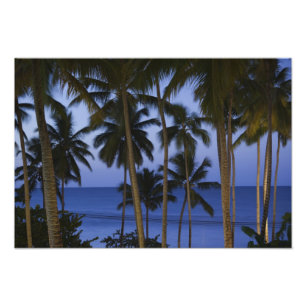 Dominican Republic, Samana Peninsula, Las Photo Print