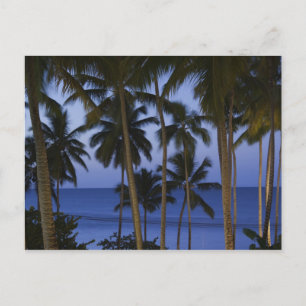 Dominican Republic, Samana Peninsula, Las Postcard