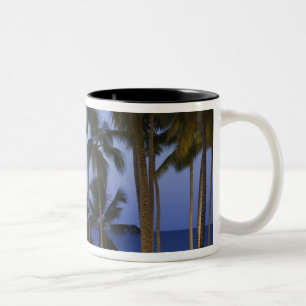 Dominican Republic, Samana Peninsula, Las Two-Tone Coffee Mug