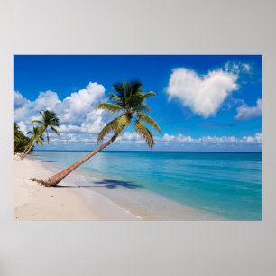 Dominican Republic Saona Island Tropical Beach Poster