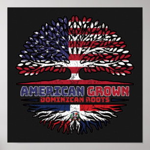 Dominican Republic US American USA United States Poster