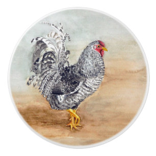 Dominique Chicken Rooster Watercolor Artwork Ceramic Knob