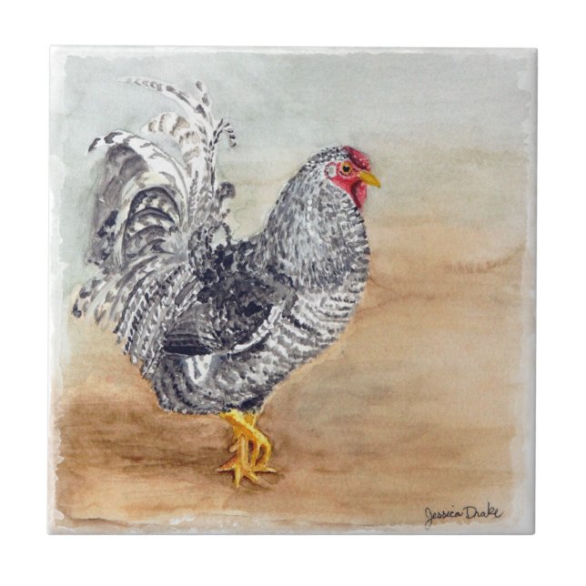 Dominique Chicken Rooster Watercolor Artwork Tile (Front)