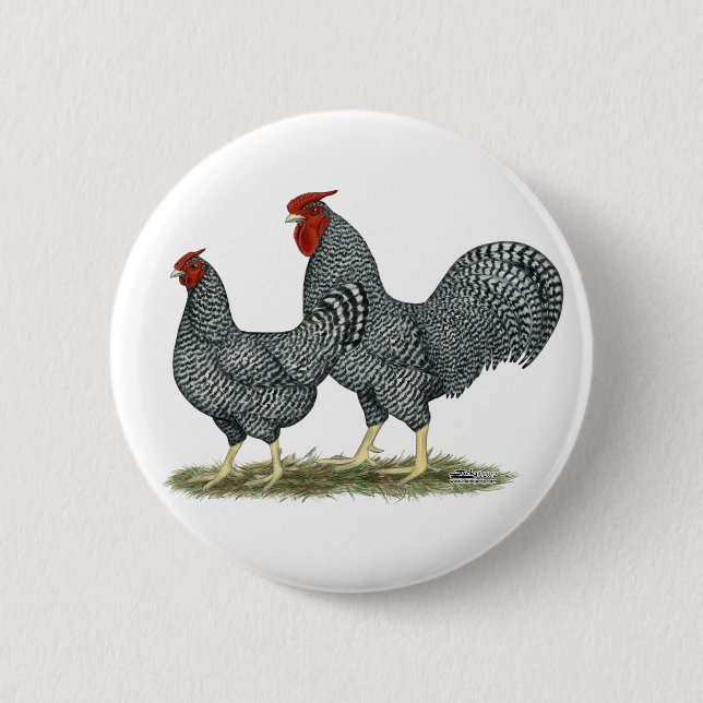 Dominique Chickens 2 Inch Round Button (Front)