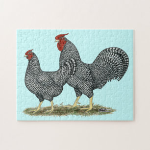 Dominique Chickens Jigsaw Puzzle