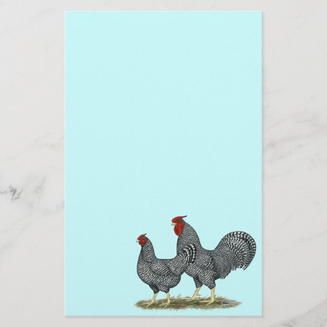 Dominique Chickens Stationery (Front)