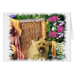 Don d'art Cairn Terrier