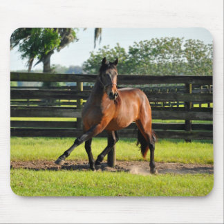 Don diego Side Pass Mouse Pad