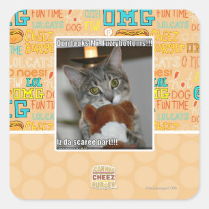 Don looks square sticker