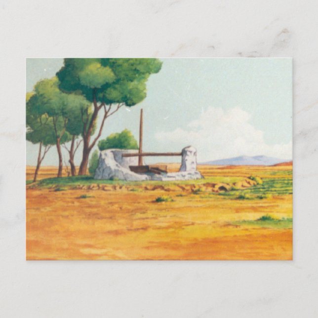 DON QUIXOTE ANIMATION BACKGROUND POSTCARD (Front)