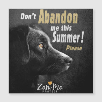 Don’t Abandon Me this Summer - Dog Protection