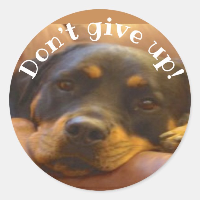 Don’t Give Up Rottweiler Classic Round Sticker (Front)