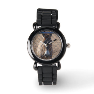 Don the Donkey Watch