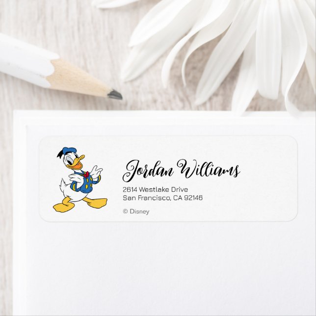 Donald Duck | Proud Pose (Insitu)
