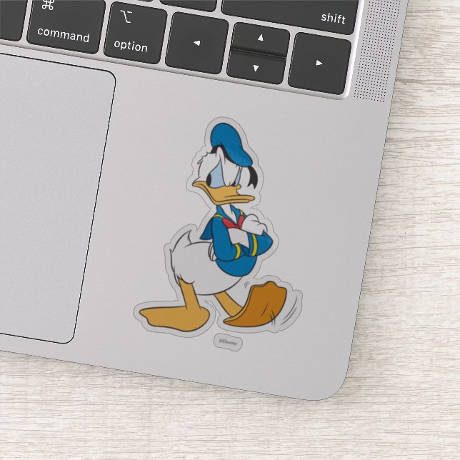 Donald Duck | Standing Arms Crossed (Detail)