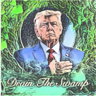 Donald trump Drain The Swamp 2024 decal
