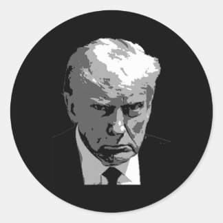 Donald Trump Mean Mug Shot Classic Round Sticker