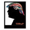DONALD TRUMP MILTON GASER REDUX POSTER
