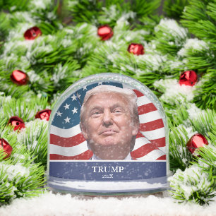 Donald Trump Personalized Name Snowglobe