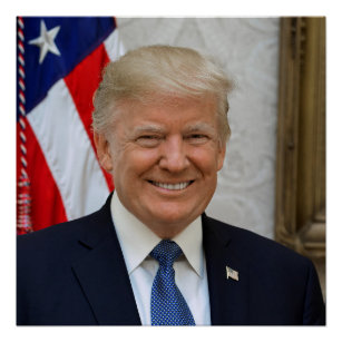 Donald Trump White House President Portrait Poster