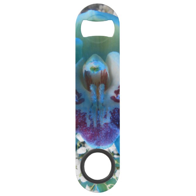 Donella Bar Key (Front)