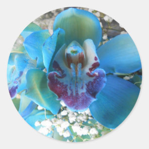 Donella Classic Round Sticker